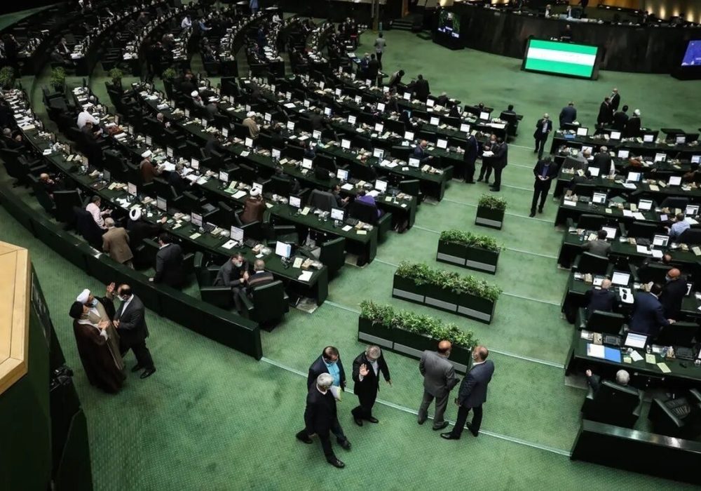 این نمایندگان مجلس نمی فهمند که اقتصاد علم است؟