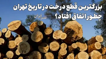 بزرگترین قطع درخت در تاریخ تهران چطور اتفاق افتاد؟ در حدود ۳ سال حدود ۳۰ هزار اصله درخت بزرگترین قطع درخت در تاریخ تهران چطور اتفاق افتاد؟ در حدود ۳ سال حدود ۳۰ هزار اصله درخت