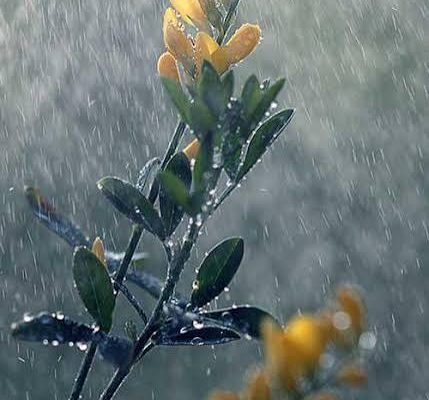 ابرهای باران‌زا به ایران رسیدند؛ صدور هشدار هواشناسی برای چند استان