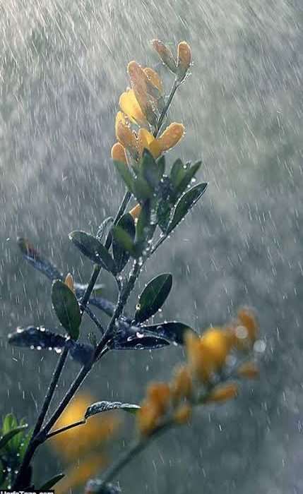 ابرهای باران‌زا به ایران رسیدند؛ صدور هشدار هواشناسی برای چند استان