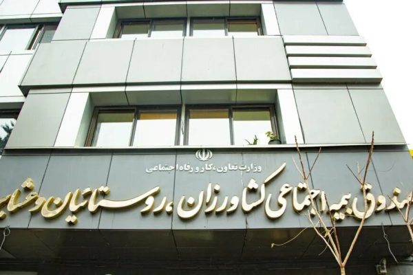 این گروه از مادران به شرط تامین اعتبار رایگان بیمه می‌شوند