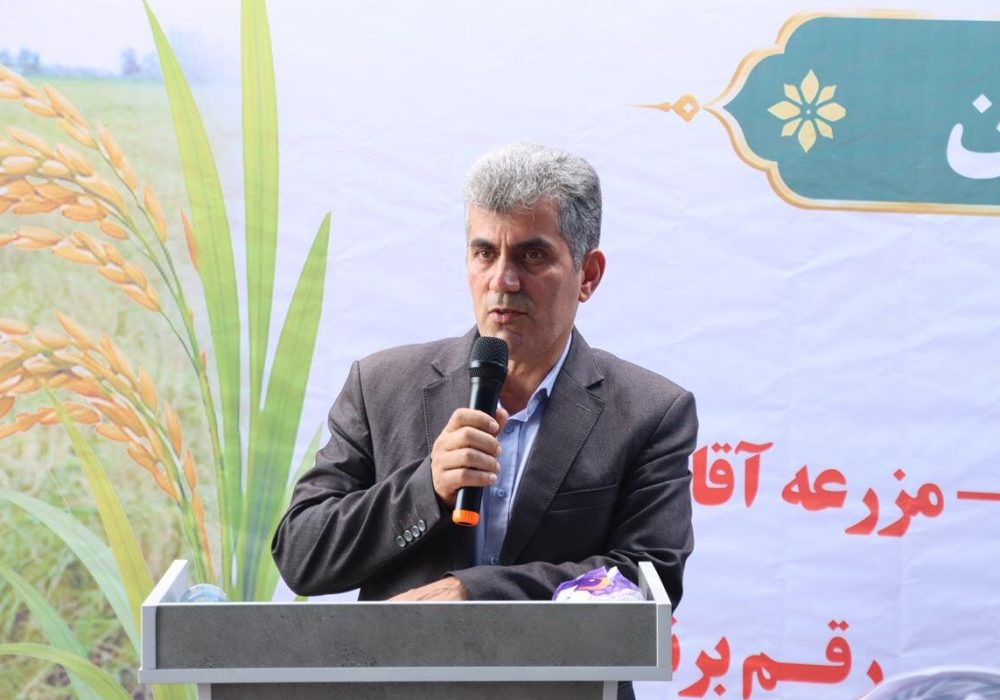 تحقیق برای تجاری‌سازی پرورش گوسفند تالشی در گیلان